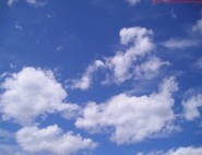 أعضاء بالشورى يحذرون من استدراج المواطنين بالقروض ووقوعهم في فخ الديون