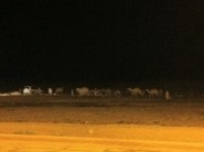 حالة الطقس المتوقعة اليوم الأحد