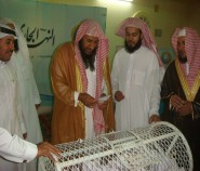 التقاعد تصرف معاش الشهرين يوم السبت القادم