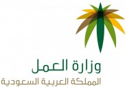 الاتحاد السعودي يعلن جدول دوري زين السعودي للمحترفين للعام القادم