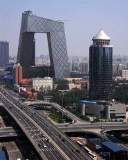 مواطن يقتل ذئب بعد هجومه على قطيع من الاغنام