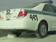 باص النقل بجمعية التحفيظ مأوى للقطط