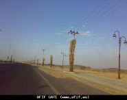 لوجود حالات اشتباه بانفلونزا الخنازير.. فريق طبي يتوجه إلى  محافظة عفيف