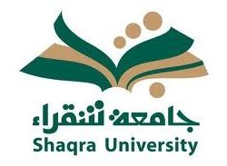 مواقع الأرصاد العالمية تتفق مع تحذيرات الدفاع المدني بيوم ممطر على عفيف