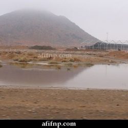 مواقع الأرصاد العالمية تتفق مع تحذيرات الدفاع المدني بيوم ممطر على عفيف