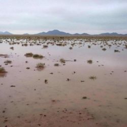 نفود العريق ومنتزه المطار وشباب المحافظة في الامطار في تقرير مصور