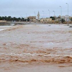 «العمل» تحدد 4 وظائف للسعوديات في المحال النسائية وتربطها ببرنامج حافز