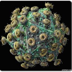 عباس يكشف ما دار مع أوباما: رفضنا مساعدات تقتصر على الأمن