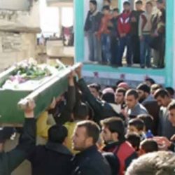 11 رعية من الإبل الشعل فئة المئة تصنفها لجان التحكيم للنخبة والمراكز العشرة الأولى