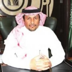 11 رعية من الإبل الشعل فئة المئة تصنفها لجان التحكيم للنخبة والمراكز العشرة الأولى