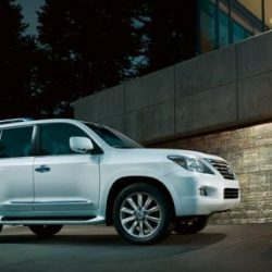 شاب جزائري يدعي النبوة ويطالب بمناظرة العلماء