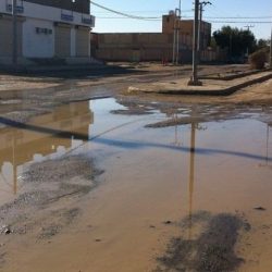 تأثير الكتلة الهوائية الباردة على مناطق شرق ووسط المملكة