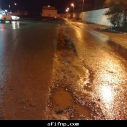 براءه في سياحي عفيف