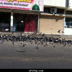 الى متى يارئيس بلدية عفيف وهؤلاء العمالة وخصوصا وقت البرد