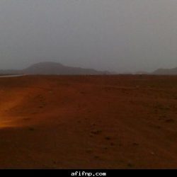 صور لسوق الماشية بعفيف