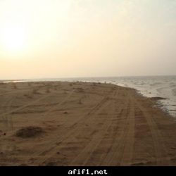 أمواج صفّاق