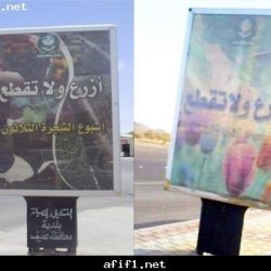 أمواج صفّاق